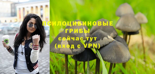 дживик Алексеевка