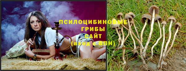 дживик Алексеевка