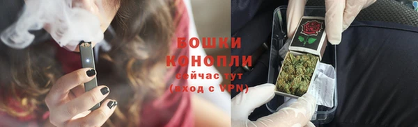 ешки Алексин