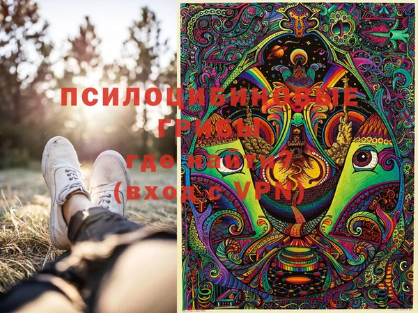 дживик Алексеевка