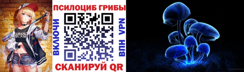 гидра ТОР  хочу наркоту  Ахтубинск  Галлюциногенные грибы Cubensis 