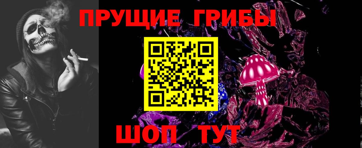 Ахтубинск  продажа наркотиков  Вход с VPN  Псилоцибиновые грибы прущие грибы 